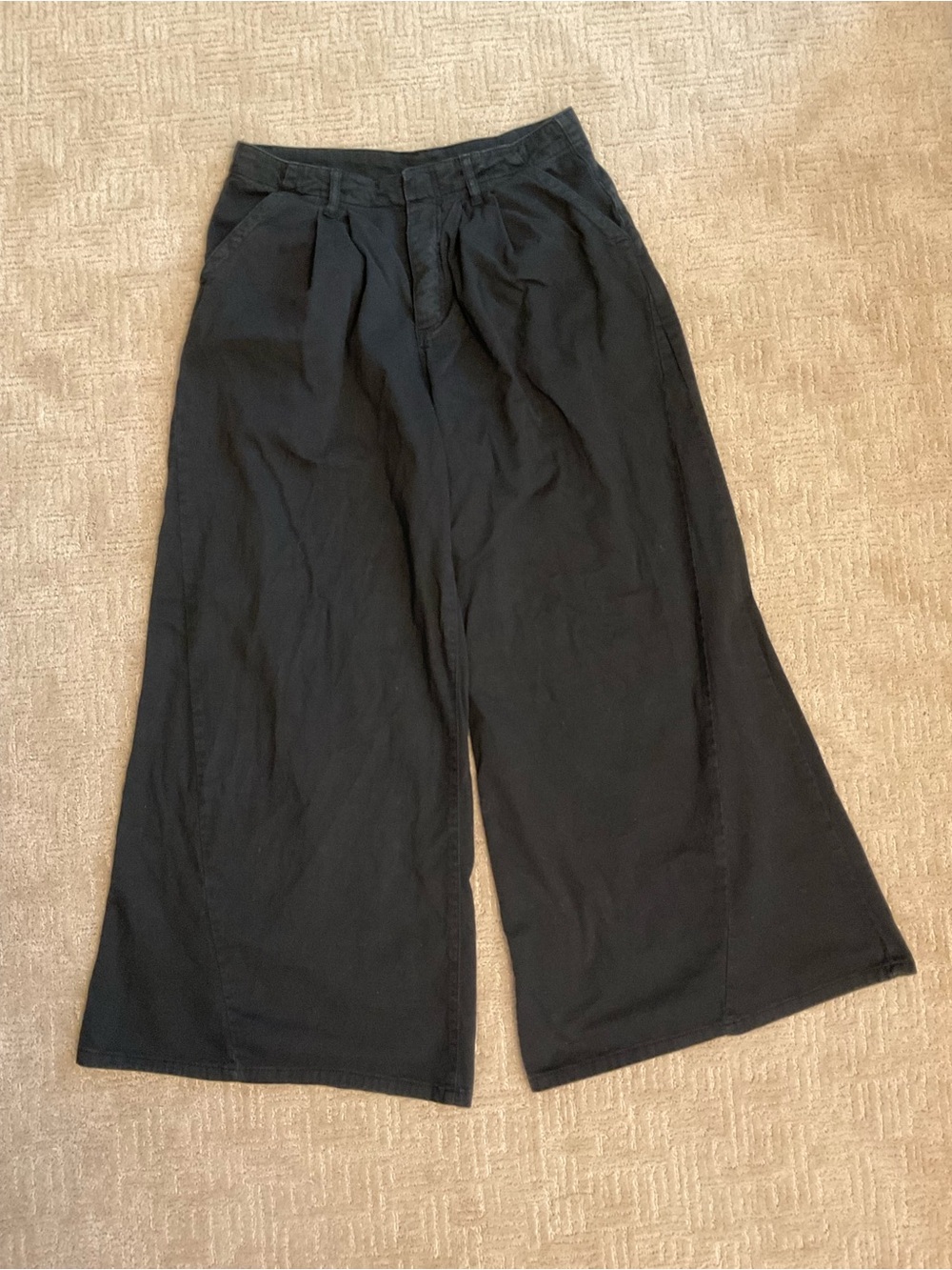 Free People Wide Leg Pleated Pants Black Size 12 / 32 EUC Minimalist Boho Classi